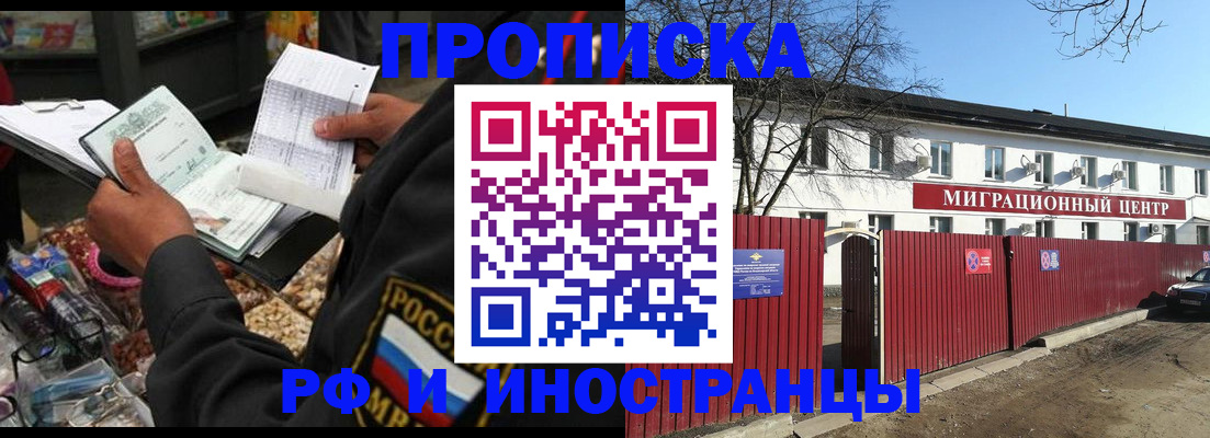 прописка поиск в Бородино